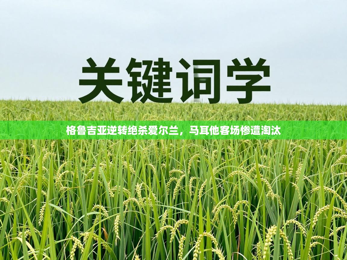 格鲁吉亚逆转绝杀爱尔兰，马耳他客场惨遭淘汰